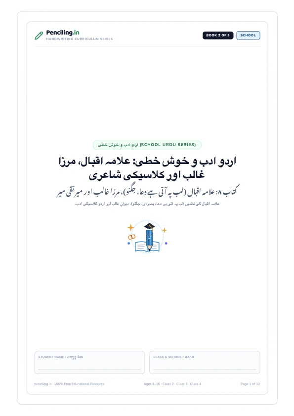 اردو ادب و خوش خطی: علامہ اقبال، مرزا غالب اور کلاسیکی شاعری Cover